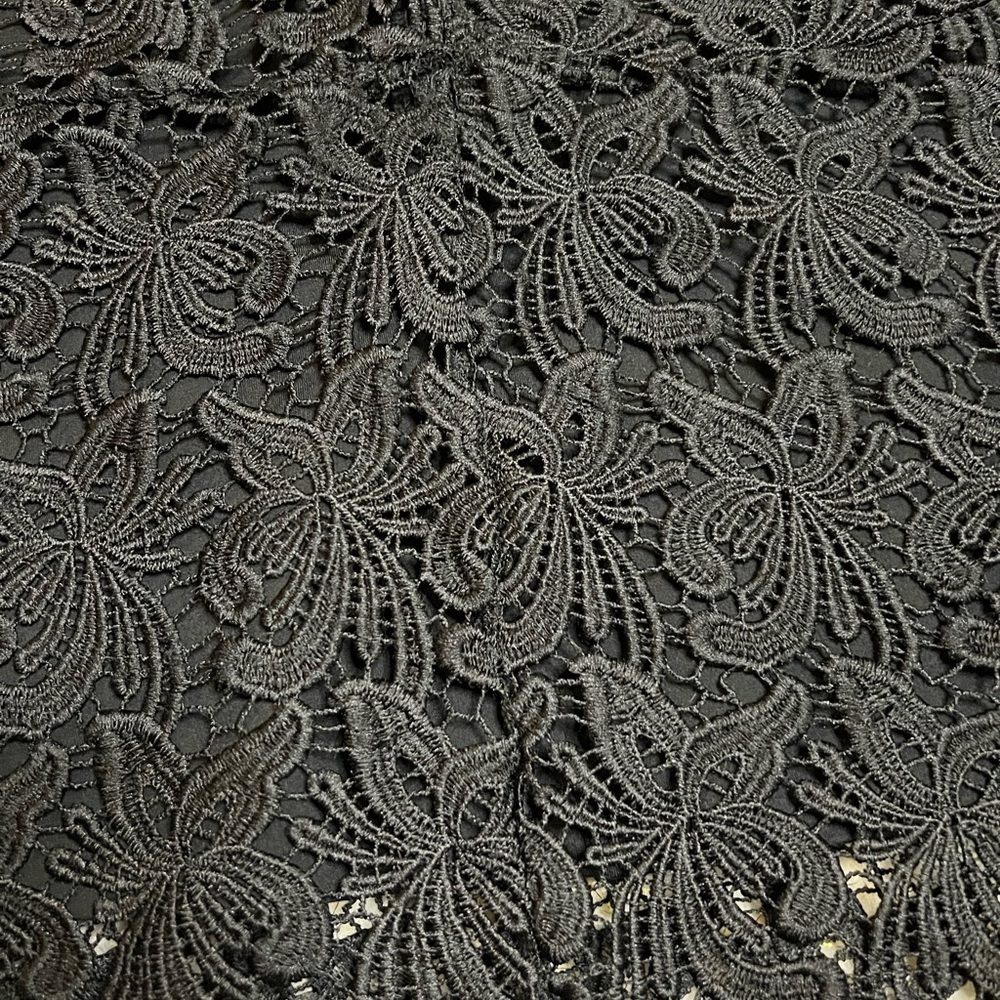 ⭐️LOFT Lace Skirt - Picture 3 of 5